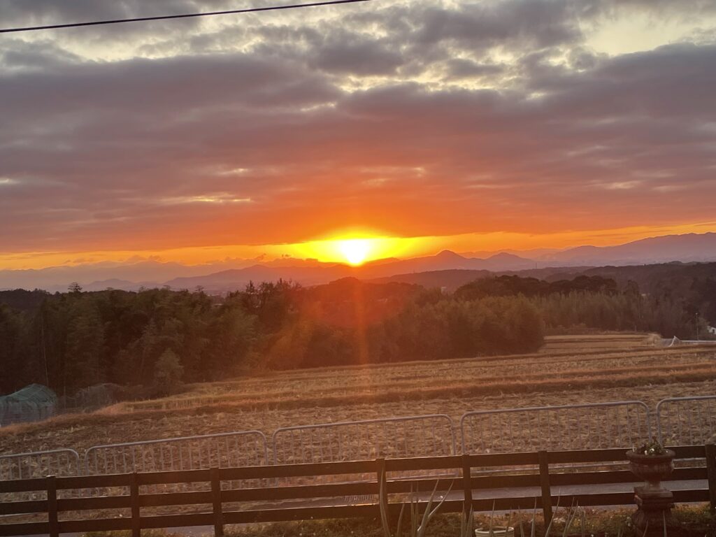 工房からの朝日