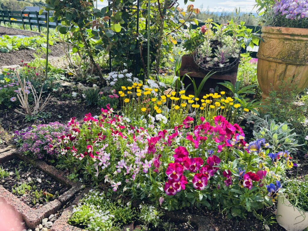 大きな木の小さなガーデン