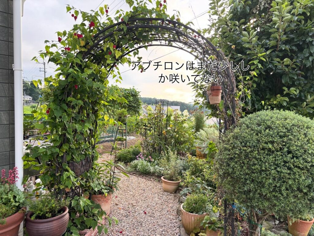 夏の花と小さな畑