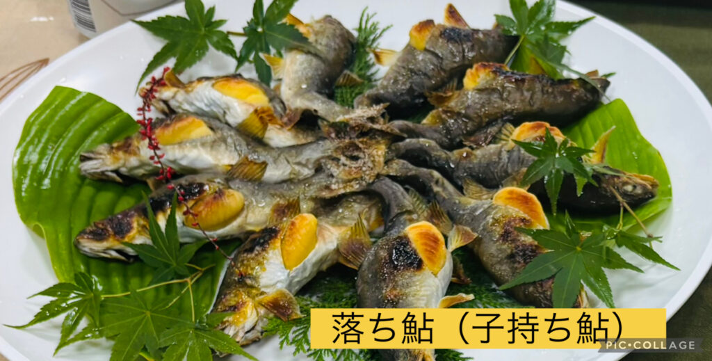 落ち鮎（子持ち鮎）